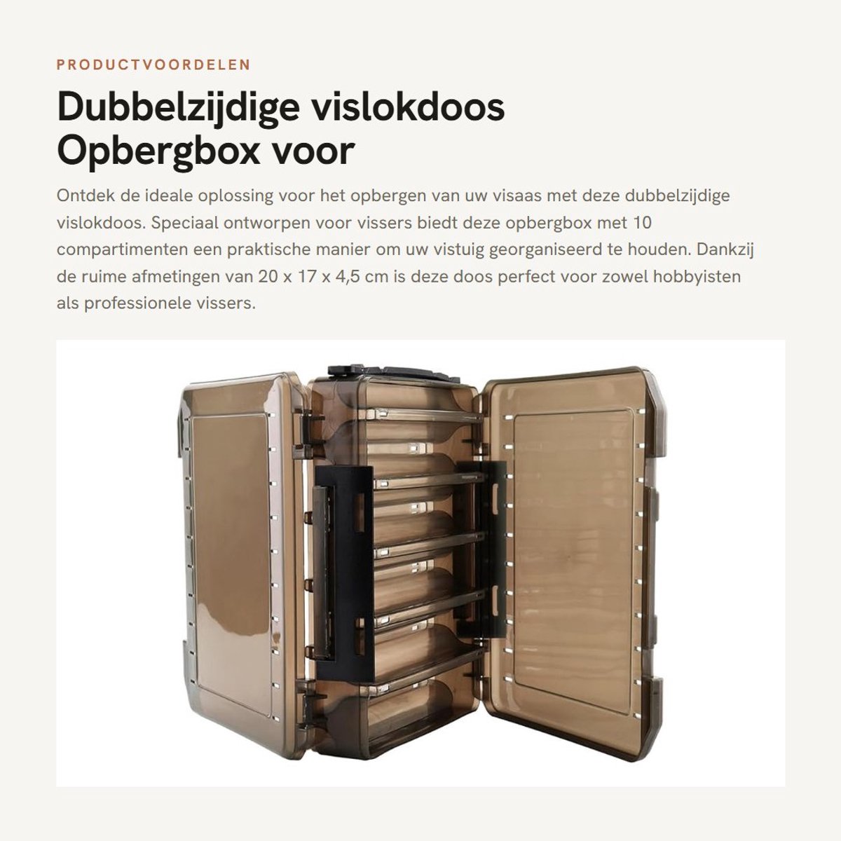 Dailygoods- Vislokdoos Dubbelzijdig - Opbergbox voor Vissaaien - 10 Compartimenten - Handgreep - Waterafvoer - Lichtgewicht PVC (20x17x4,5 cm) - Aasdoos