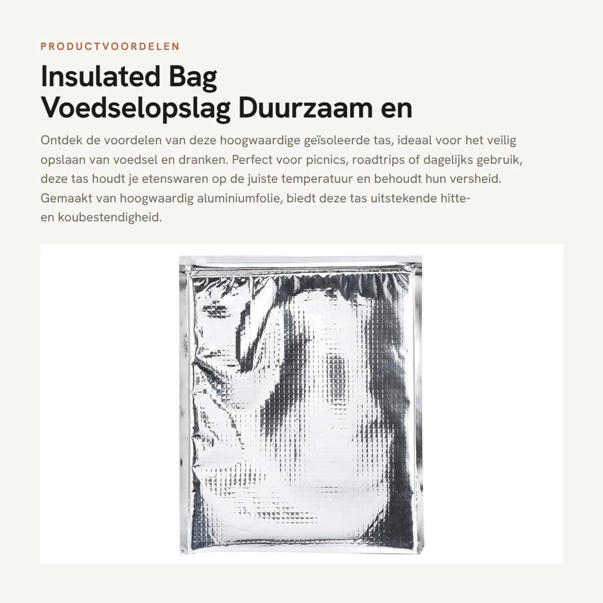 Dailygoods- Geïsoleerde Zak - 5 Stuks - Aluminium Folie - Thermische Koeler - Vochtbestendig - Antibacterieel - 24 x 24 cm - Koeltas