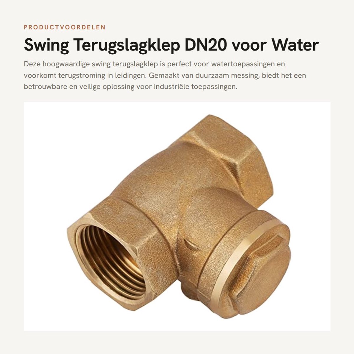 Dailygoods- Terugslagklep Messing - DN20 Draad - 3/4 BSP - Industriële Niet-terugslagklep - Waterbestendig - 232 PSI - Duurzaam Materiaal - Klep