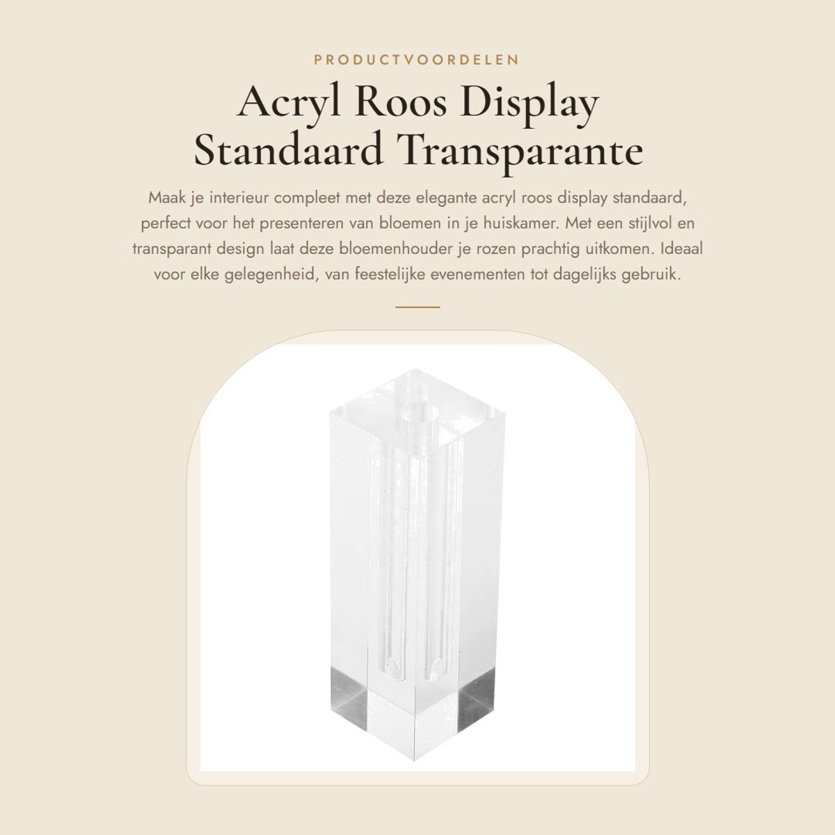 Dailygoods- Roosdisplay Transparant - Bloemenbasis - Acryl - Rechthoekig - 4 x 4 x 12 cm - Gatdiameter 1,3 cm - Bloemenstandaard