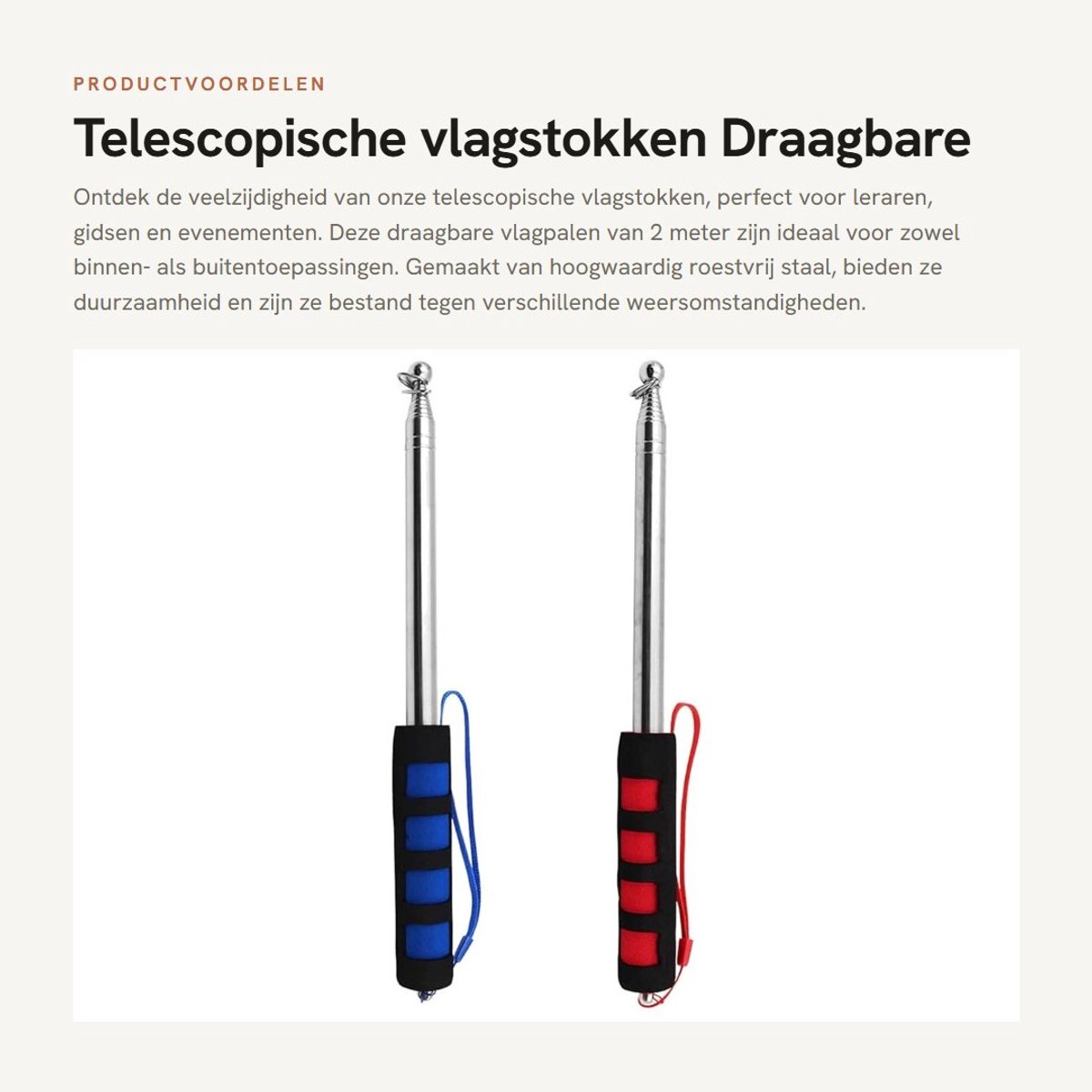 Dailygoods- Vlaggenstok Telescopisch - 2 Stuks - Roestvrij Staal - Handheld - Draagbaar - Geschikt voor Buitenactiviteiten - Vlaggenmast
