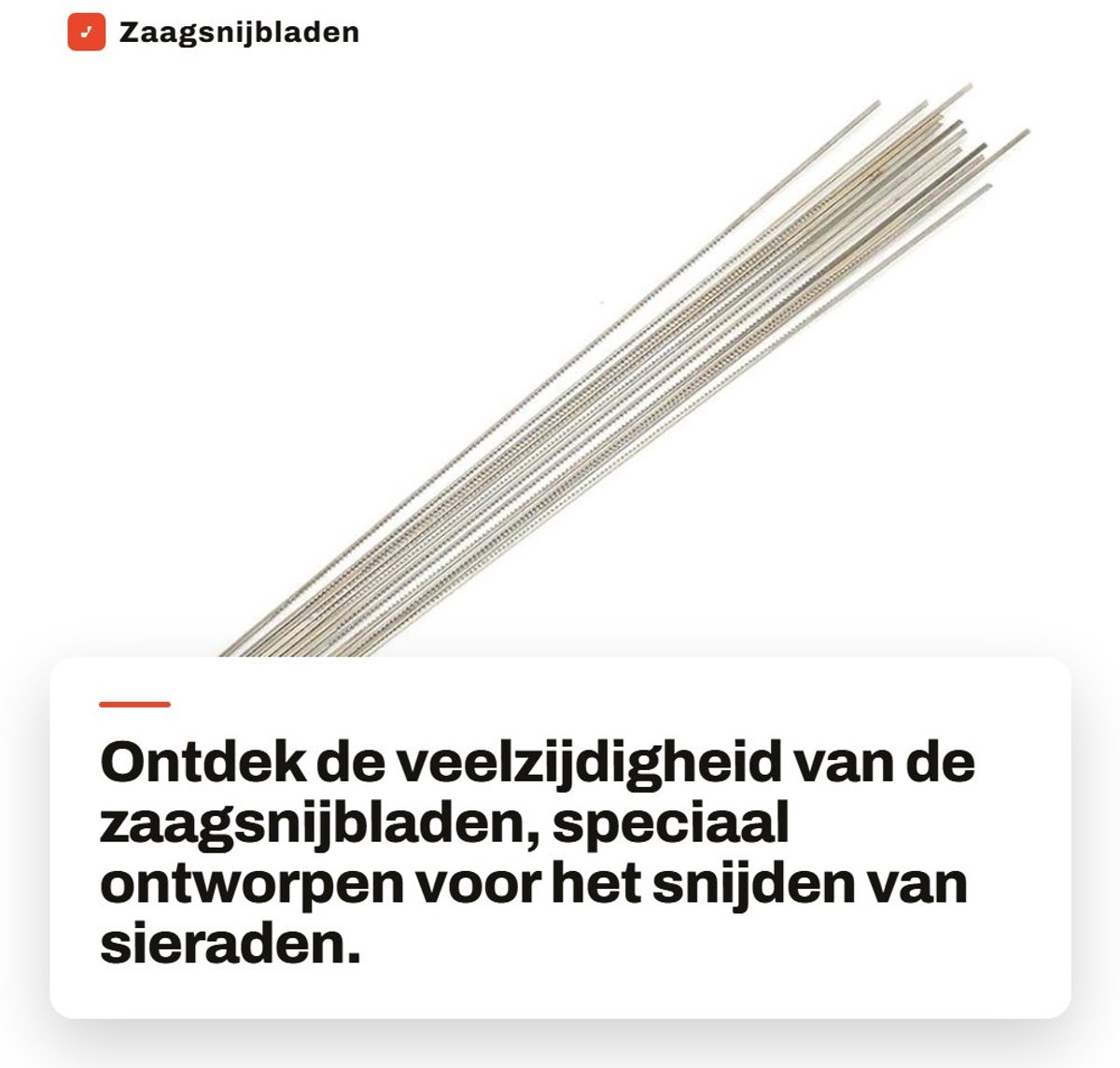 Dailygoods- Zaagsnijbladen 12 Stuks - Wolfraamstaal - Spiraalvormige Tandzaag - Multifunctioneel - Duurzaam - Veilige Opslag in Doos - Snijbladen