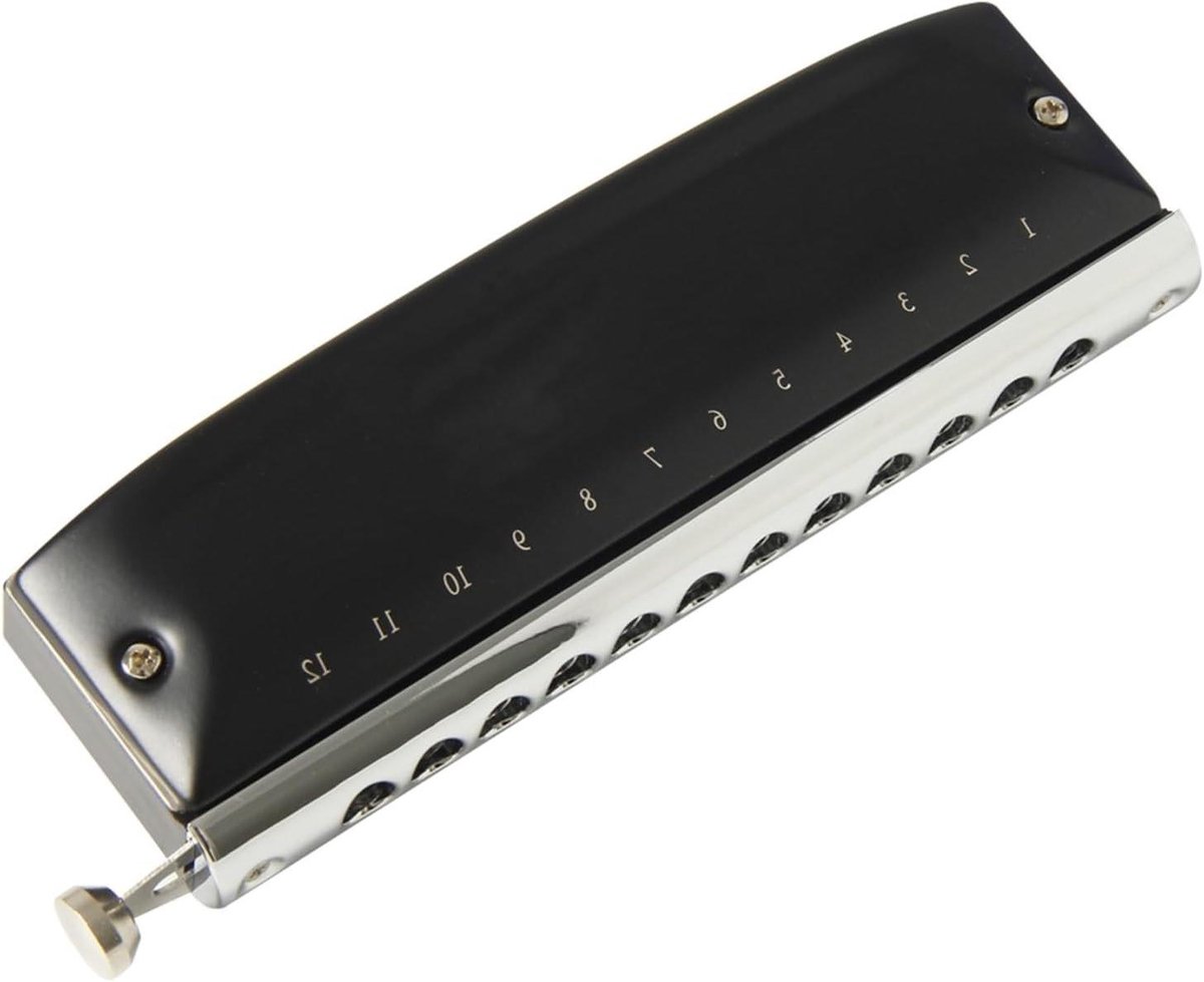 Chromatische Mondharmonica - 12 Gaten Harmonica - Muziek Maken - 48 Tonen - 200 Gram - Zilver