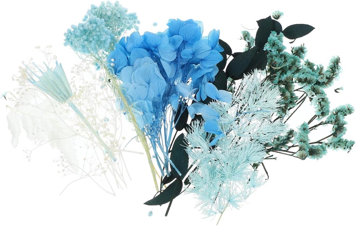 Gedroogde Bloemen - Planten Decoratie - Hobby Knutselen - Natuurlijk Gedroogd - 17 x 11.5 cm - Blauw