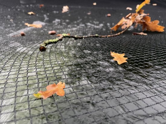 Gedroogde eikenbladeren op een fijnmazig zwart net dat op het water ligt.
