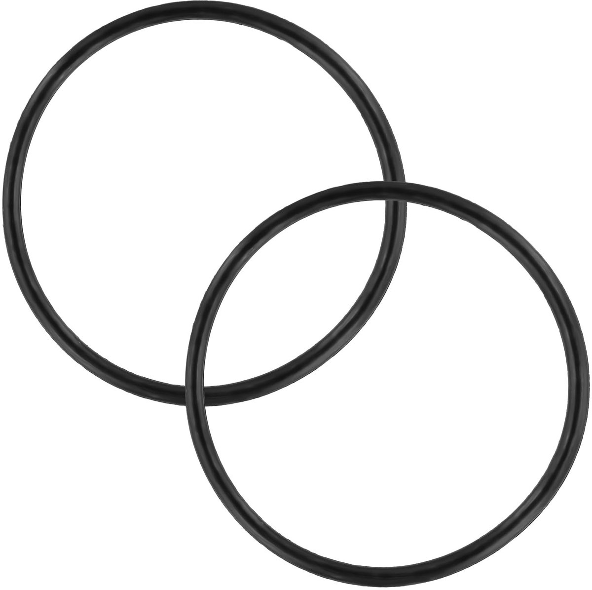 aladdien - O-Ring Vervanging - Zwembad en Spa - 2 Stuks - Nitrilrubber - Onderdeel voor Chlorinator - Geschikt voor Pentair Model 300/320