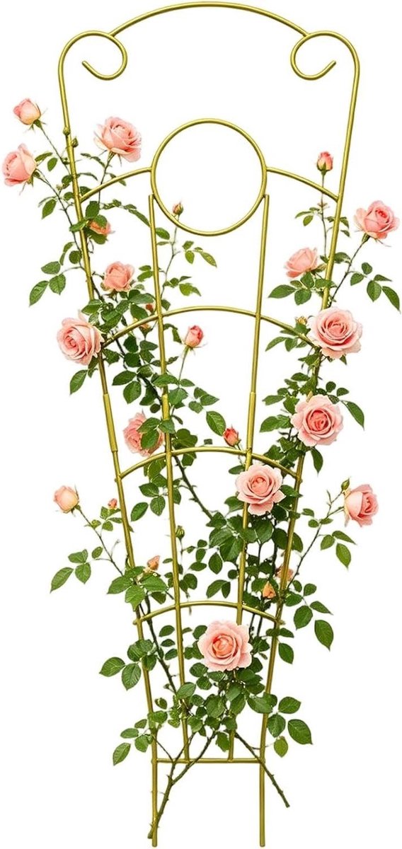 Plantenrek - Tuinsteun Klimplant - Planten Ondersteunen - Roestvrij Metaal - 73 cm Hoog - Zwart