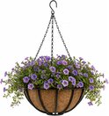 Ronde hangende bloempot met kettingen, gevuld met paarse bloemen en groene planten.
