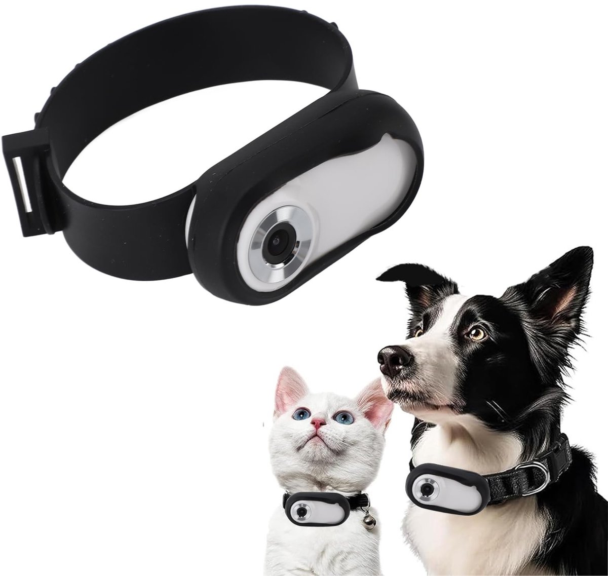 Allecto - Cat Camera Collar - 1080P - Draagbare camera voor huisdieren - Mini lichaamscamera - Geschikt voor katten en honden - Ideaal voor avontuu...