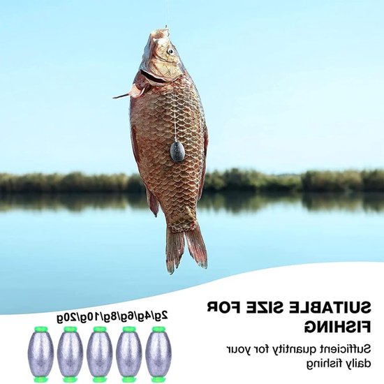 Drop Shot Gewichten Set - 30 Stuks, Lood en Zink voor Zeevissen, Zoetwatervissen en Outdoor Sportactiviteiten - Verkrijgbaar in 2g/4g/6g/8g/10g/20g — afbeelding 4