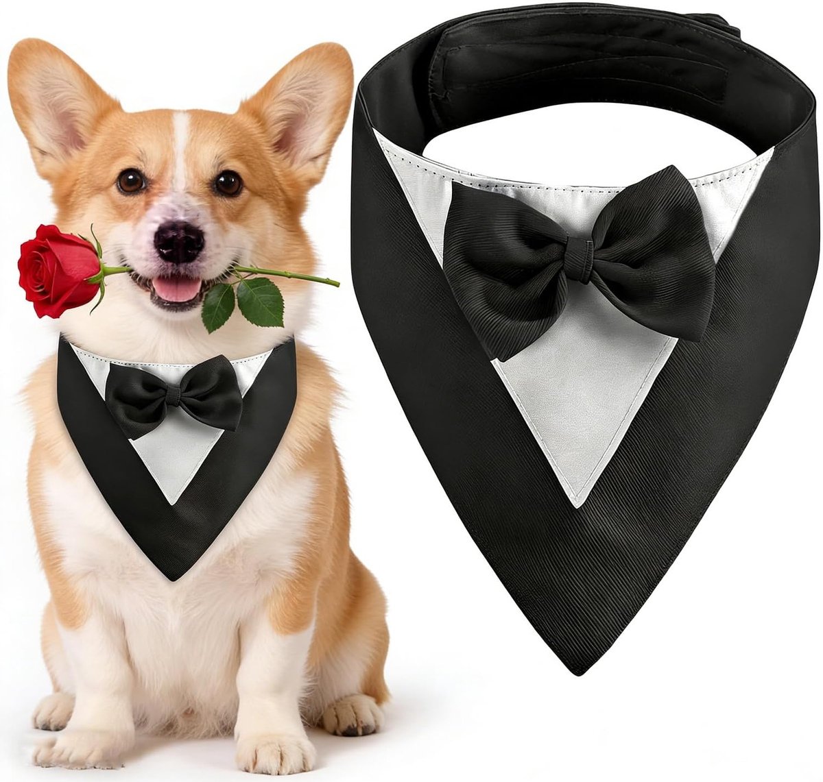 Mok voor Honden met Vlinderdas, Hondenhalsband voor Trouwen, Hondenkostuum voor Feestjes, Verjaardagen en Engagementen (Hals: 35-45 cm, Zwart)