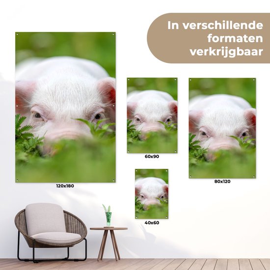 Affiche de jardin - Cochon - Herbe - Animaux - Vert - Jardin - Peinture de jardin - 40x60 cm - Décoration murale - Décoration murale - Toile de jardin - Affiche d'extérieur