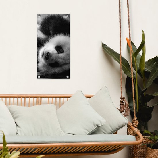 Tuinposter 30x60 cm - Tuindecoratie Dierenprofiel rollende panda in zwart-wit - Poster voor in de tuin - Buiten decoratie - Schutting tuinschilderij - Tuindoek muurdecoratie - Wanddecoratie balkondoek