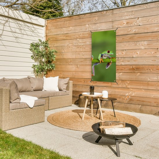 Tuinposter 40x80 cm - Tuindecoratie Kikkers - Tak - Groen - Poster voor in de tuin - Buiten decoratie - Schutting tuinschilderij - Tuindoek muurdecoratie - Wanddecoratie balkondoek