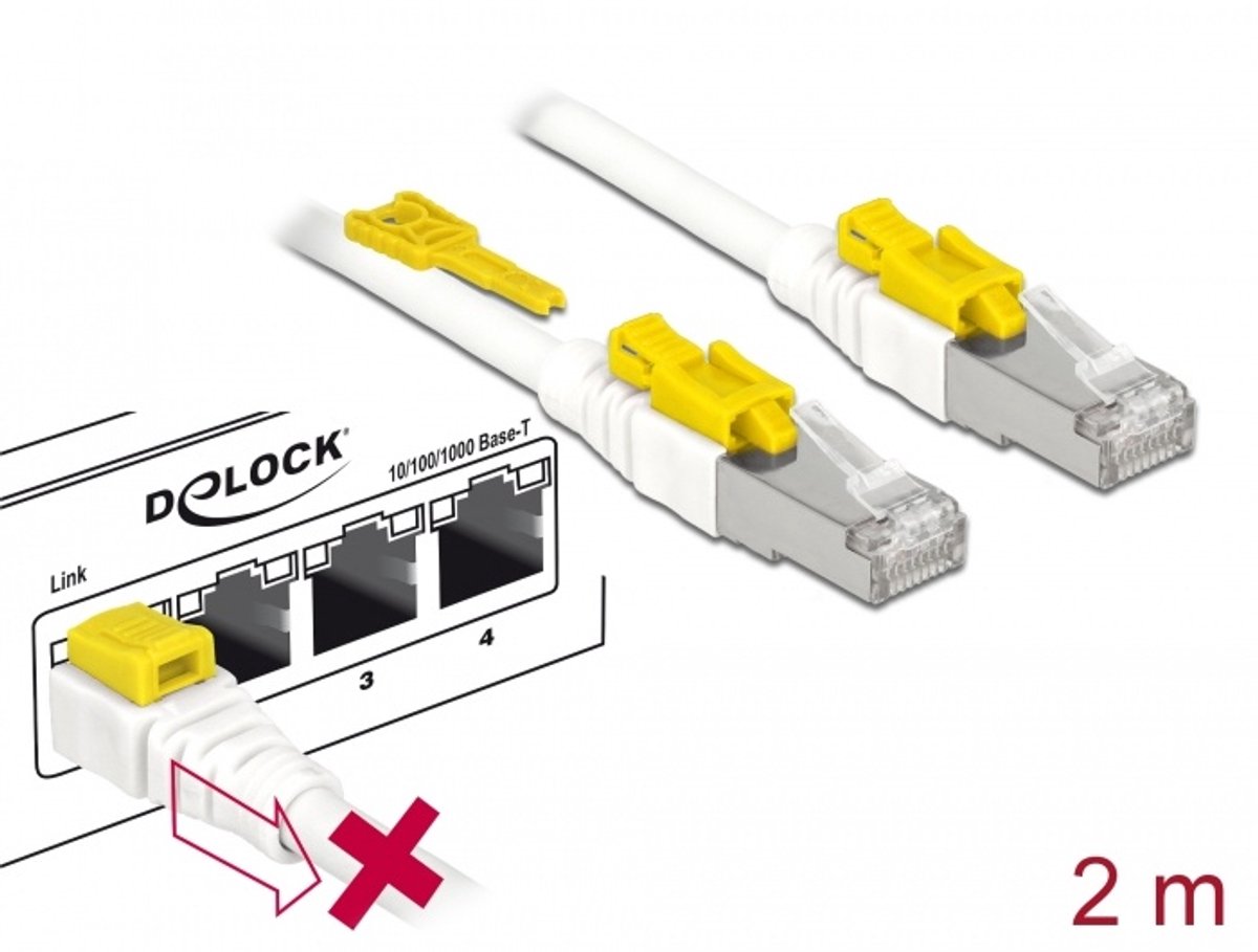 Delock CAT 6a kabel met vergrendelbare pluggen, 2 meter