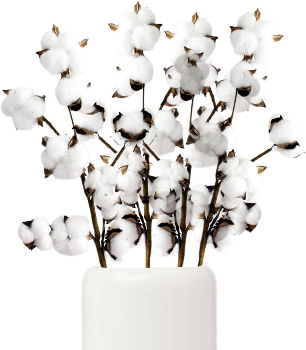 Natuurlijke gedroogde bloemen takken met katoenbloemen voor vaasdecoratie, bruiloften en feesten - 4 stuks met 10 bollen (40 stuks)