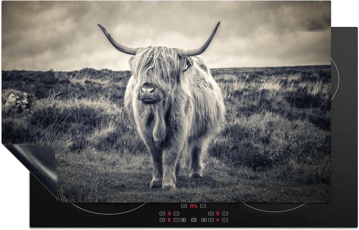 Inductie Beschermer - Kookplaat Afdekplaat - Keuken Werkruimte - Unieke Foto Print - 85x52 cm - Schotse Hooglander