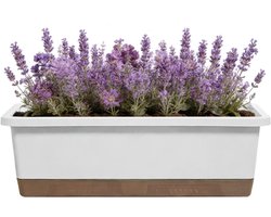 Bloempot Zelfwaterend - Plantenbak Binnen - Planten Verzorgen - Dubbele Laag Systeem - 17.3 x 21.4 cm - Wit