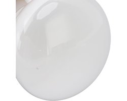 Reptiel Warmtelamp - Terrarium Verlichting - Dierenwelzijn Bevorderen - Simuleert Dag Nacht - 75W - Wit