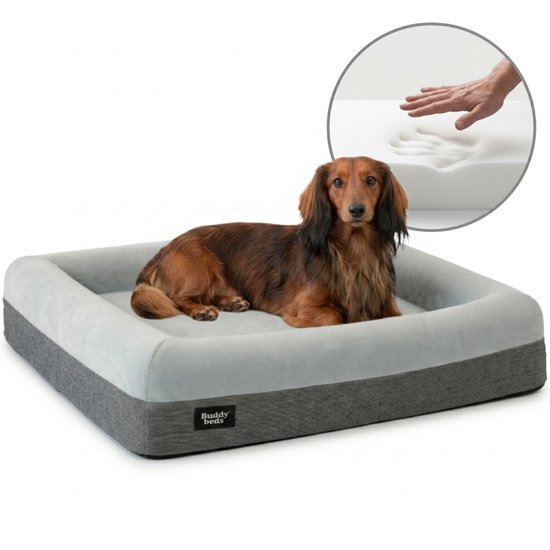 Buddy Beds Orthopedische Hondenmand 74cm – Luxe Hondenbed & Kussen – Waterdicht, Wasbaar & Anti-slip – Afneembare Hoes met Rits – Grijs – Small 74x58x20 cm