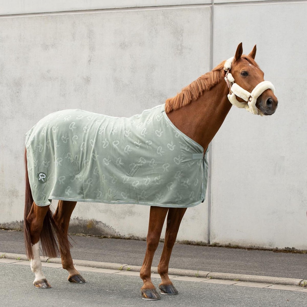 Paardendeken Fleece - Zweetdeken Paard - Paard Drogen - Sneldrogend Materiaal - 145 cm - Olijfgroen