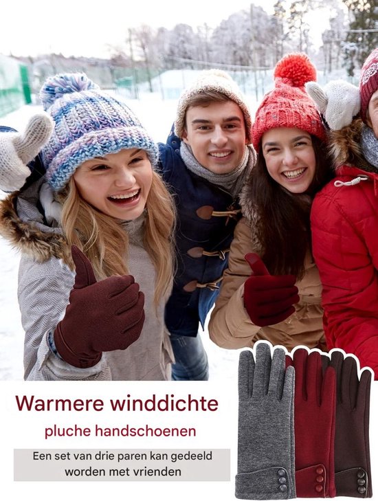 Outrip Womens Lady Winter Warme Handschoenen Touchscreen Telefoon Winddicht Gevoerde Dikke Handschoenen, Bruin, M