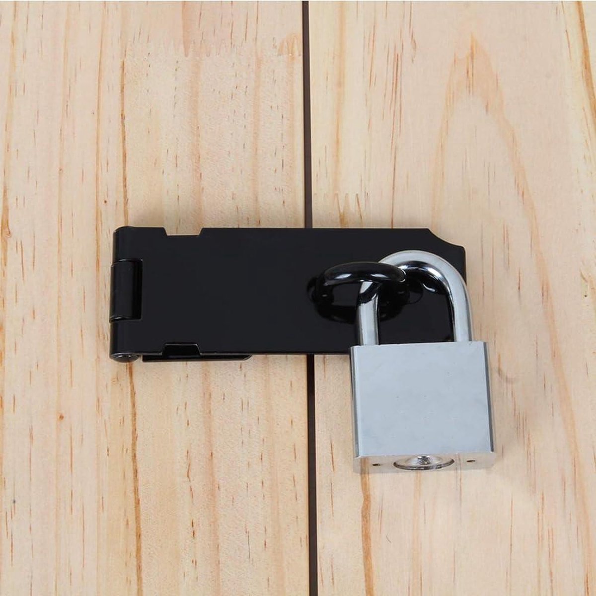 Deurvergrendeling en Nietje met Hangslot - 2 Sets RVS Deursloten Hasp