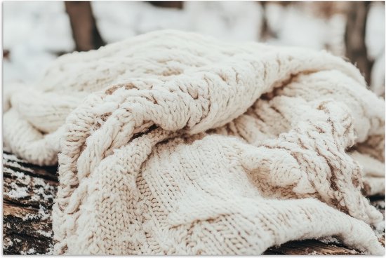 Poster 60x40 cm - Deken - Wit - Boomstronk - Winter - Sneeuw - Posters - Kamer decoratie - Wanddecoratie woonkamer - Muurdecoratie slaapkamer