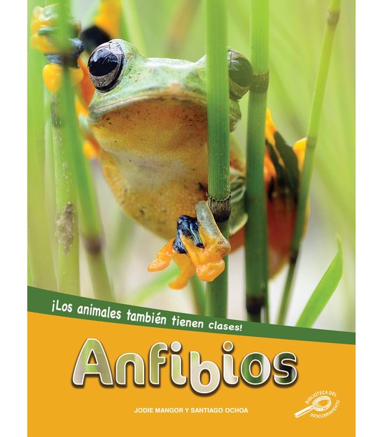 Los animales también tienen clases - Anfibios