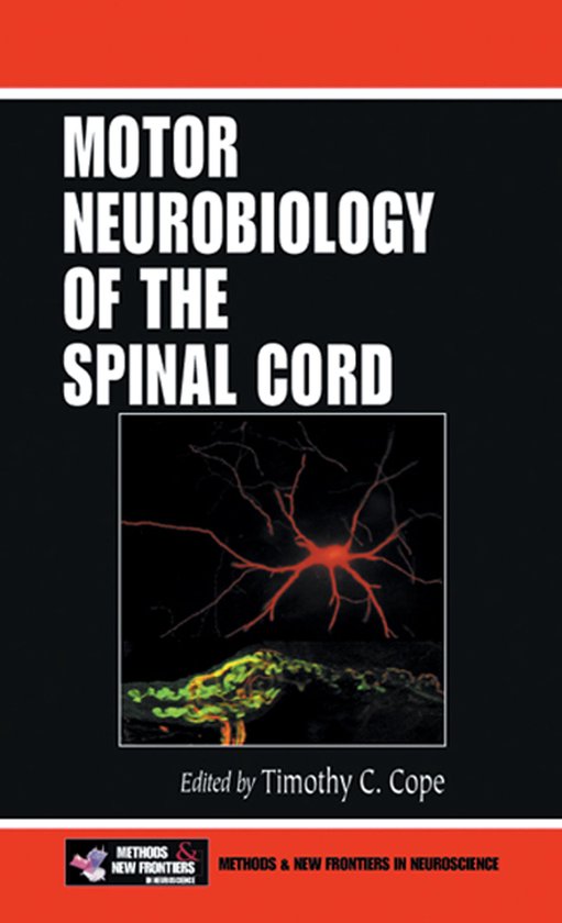 Frontiers in Neuroscience - Motor Neurobiology of the Spinal ... - cover