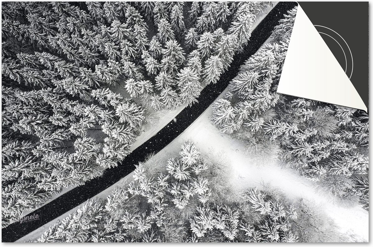 Inductie beschermer 60x60 - afdekplaat inductie mat - Dietrix Kookplaat beschermer - DELUXE - Winter-04-Weg Bomen van boven