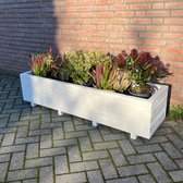 AMISHOUT - Plantenbak van hout 150x40x36 - wit | bloembak buiten
