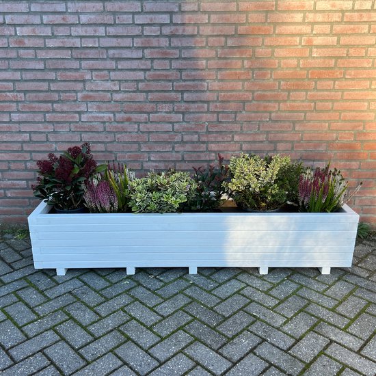 Lange witte houten plantenbak, gevuld met diverse planten met rode en paarse bloemen en groen blad.