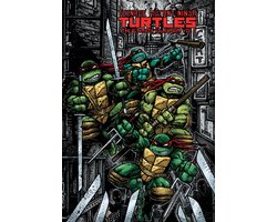 Teenage Mutant Ninja Turtles: The Ultimate Collection, Vol. 5