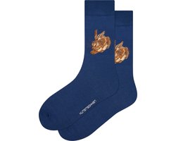 Kunst sokken - Haas: Albrecht Dürer - Sokken Heren 41 46 - Biologisch Katoenen Sokken - funny socks happy - Vrolijke Sokken - Grappige Sokken - Sokken Cadeau