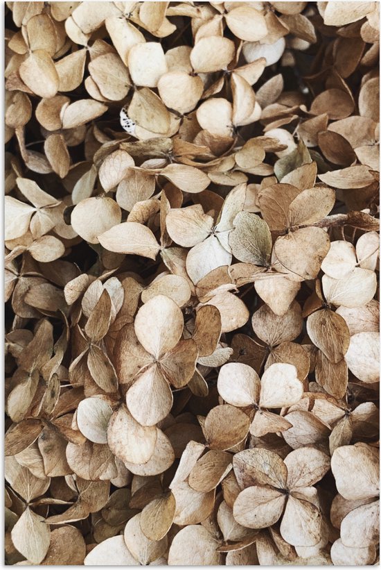 Poster 60x90 cm - Bladeren - Beige - Bruin - Herfst - Posters - Kamer decoratie - Wanddecoratie woonkamer - Muurdecoratie slaapkamer - Kerstversiering - Kerstdecoratie voor binnen - Kerstmis