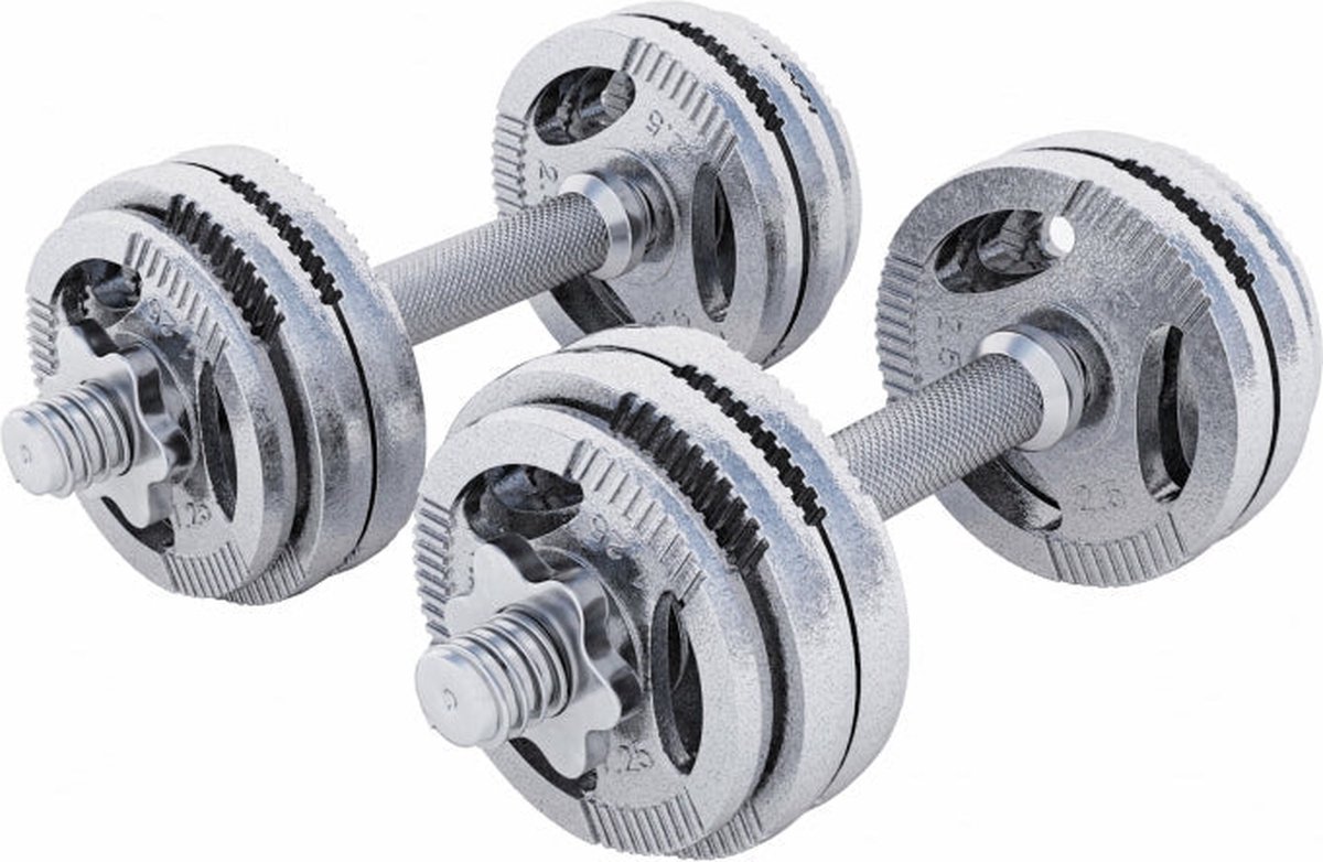 Dumbellset 30 kg Gripper Gietijzer