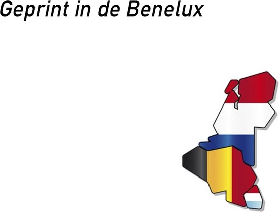 Icône/aimant (grand) | Étudiant "L" | 11 x 15 centimètres | Signe L | Plaque L | Permis de conduire | Auto-école | Facile à retirer | 1 pièce
