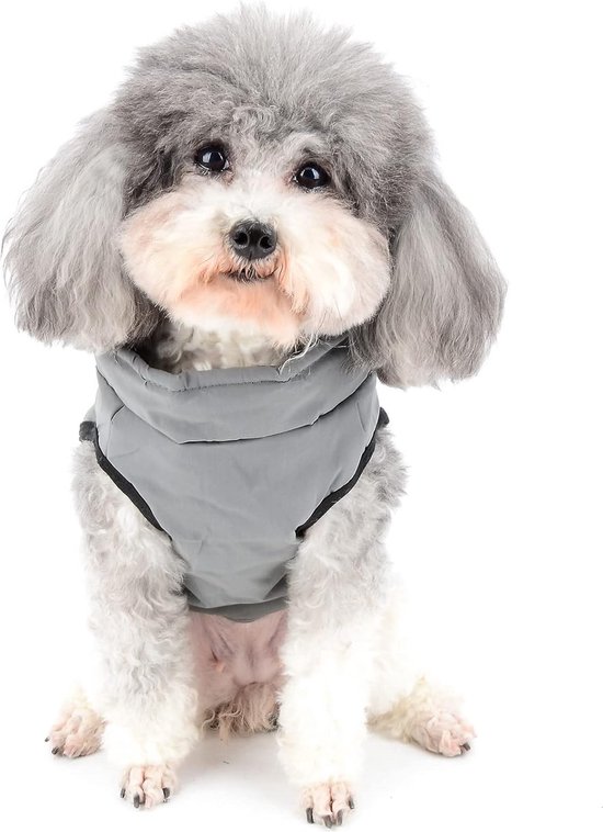 Een grijze, gewatteerde hondentrui met zwarte biezen, gedragen door een kleine hond met krullend grijs haar.