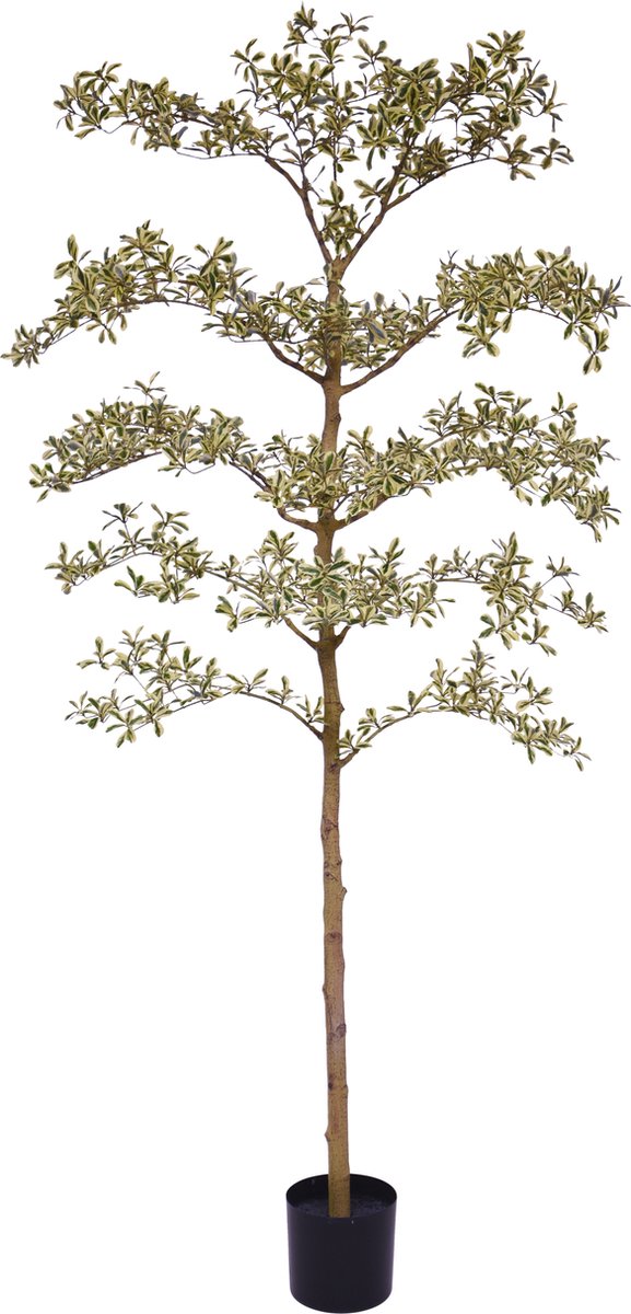 maxifleur Kunstplanten Bucida Buceras Kunstboom 210cm NT bont