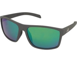 Zonnebrillen Alpina Nacan I P Midnight Grey Matt/Green Mirror