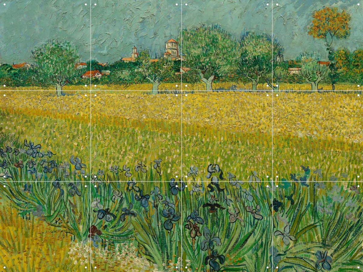 IXXI Veld met irissen bij Arles, Vincent van Gogh (1853 - 1890) & Van Gogh Museum - 80 x 60 cm - Gratis ophangtool - Grote wanddecoratie en posters -