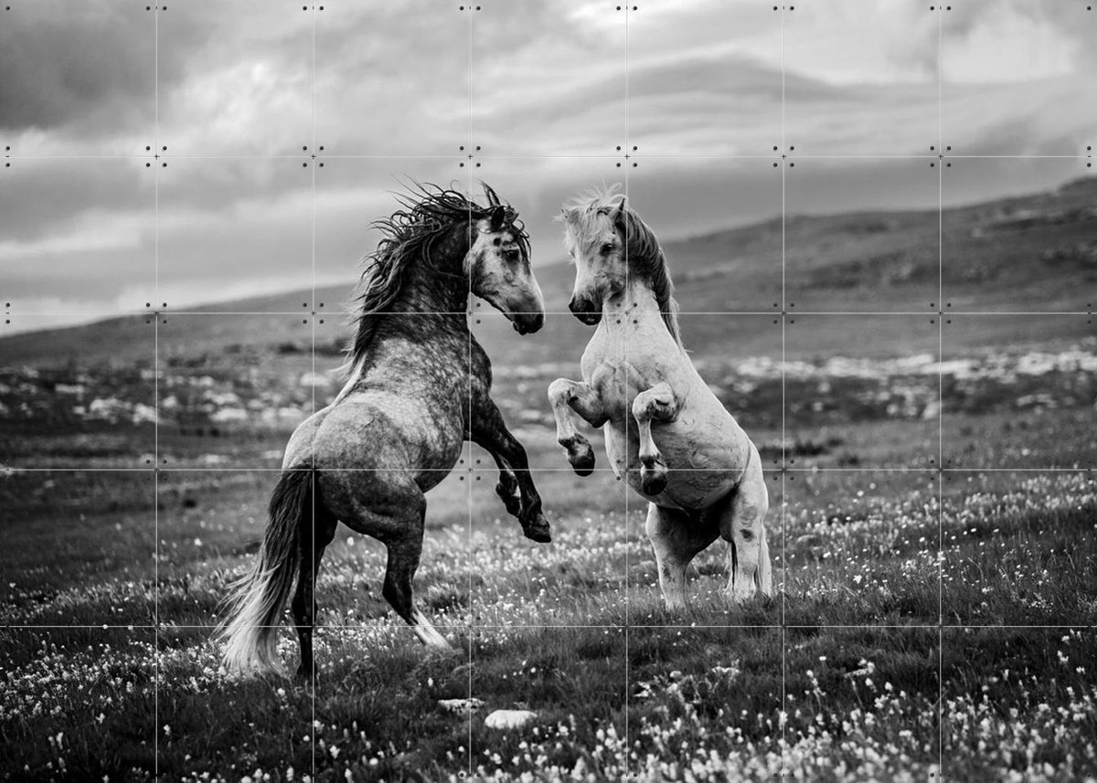 IXXI Wild and Free, Bridgeman Images - 140 x 100 cm - Gratis ophangtool - Grote wanddecoratie en posters - Fotografie, Woonkamer, Dieren, Wilde