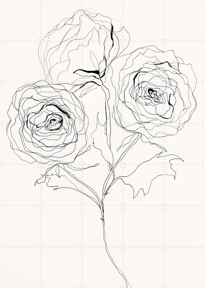 IXXI Ranunculus Study, Leigh Viner - 100 x 140 cm - Gratis ophangtool - Grote wanddecoratie en posters - Minimalisme, Grafisch Ontwerp, Illustraties