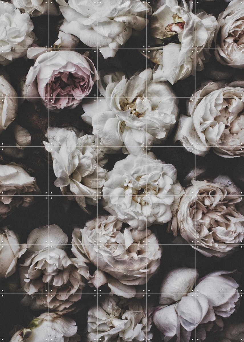 IXXI Peony Roses, STUDIO HANNAH LEMHOLT - 100 x 140 cm - Gratis ophangtool - Grote wanddecoratie en posters - Fotografie, Slaapkamer, Woonkamer