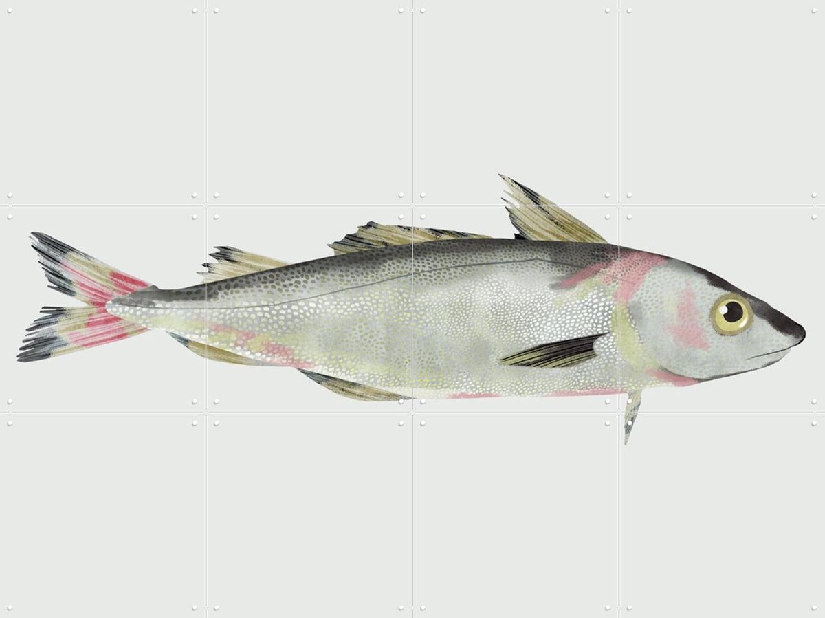 IXXI Haddock, Merel Corduwener - 80 x 60 cm - Gratis ophangtool - Grote wanddecoratie en posters - Realisme, Illustraties, Keuken, Woonkamer