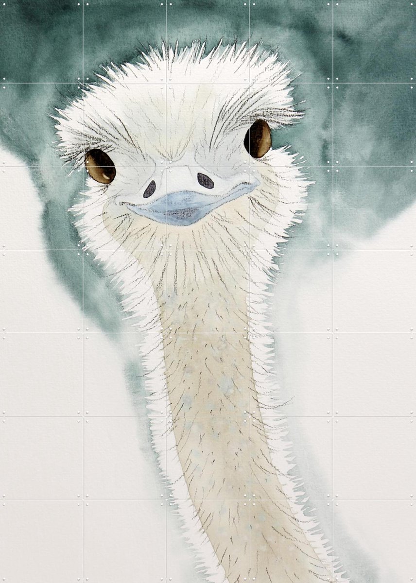 IXXI Happy Ostrich, Natalie Bruns - 100 x 140 cm - Gratis ophangtool - Grote wanddecoratie en posters - Aquarel, Fantasierijk, Speels, Illustraties