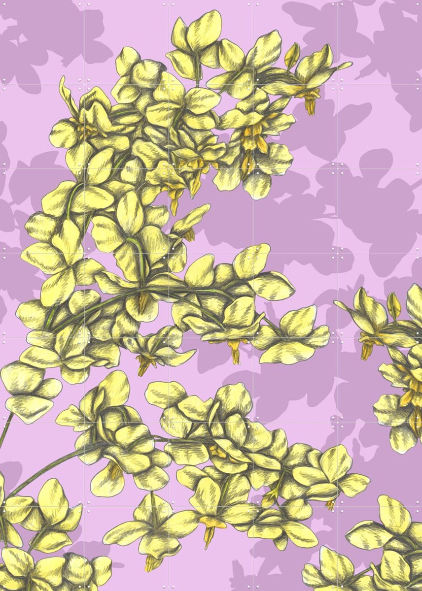 IXXI Candy Flowers, Cecilia Battaini - 100 x 140 cm - Gratis ophangtool - Grote wanddecoratie en posters - Grafisch Ontwerp, Digitale Kunst