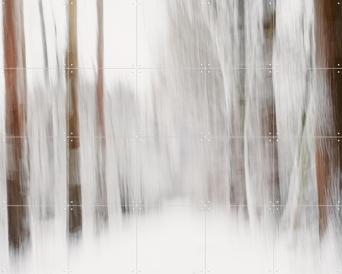 IXXI Snow in the Forest, Photolovers - 100 x 80 cm - Gratis ophangtool - Grote wanddecoratie en posters - Abstract, Impressionisme, Fotografie