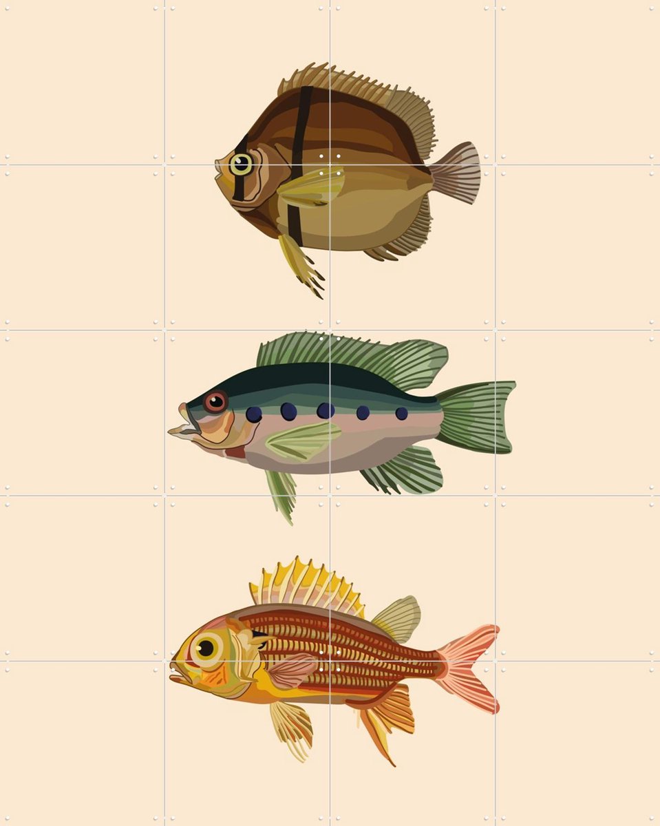 IXXI Tre Pesci, Lotte Snoek - 80 x 100 cm - Gratis ophangtool - Grote wanddecoratie en posters - Digitale Kunst, Illustraties, Grafisch Ontwerp